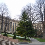 Gardens along the walk