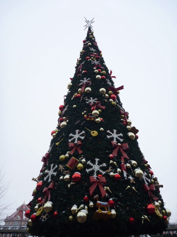 Giant Xmas tree!