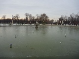 a frozen pond!