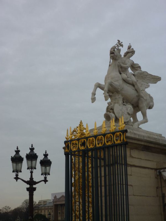 Horses by the gate