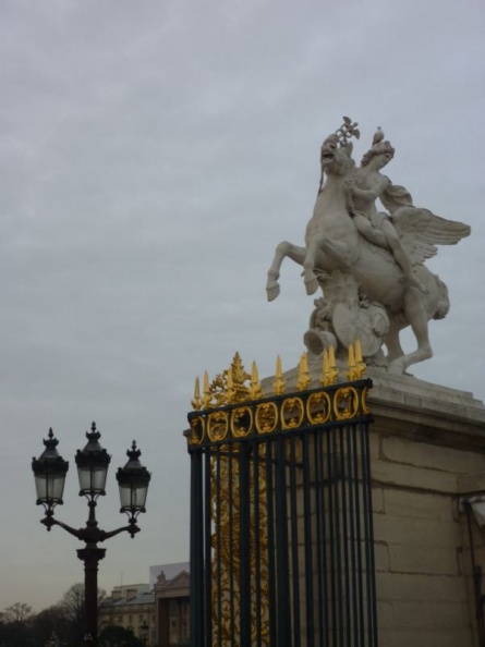 Horses by the gate