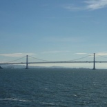 The Bay bridge in the wild