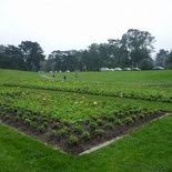 The flower beds in winter