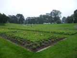 The flower beds in winter