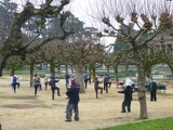 a Taiqi group in the gardens