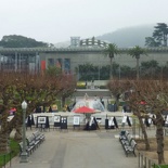 one of the largest natural history museums in US