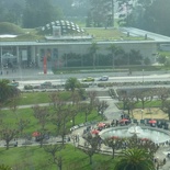 The California academy of sciences