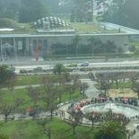 The California academy of sciences