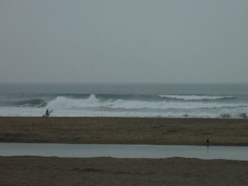 surfers alike