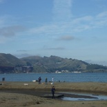 low tide by the beach