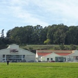 The Crissy Field Airplane Hangars along Manson Street 