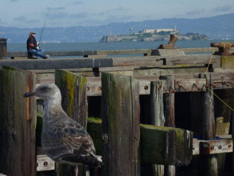 goldengate_fortpoint_045.jpg