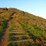 more steps, this time more grassy!