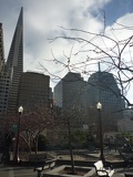 seating areas in the park