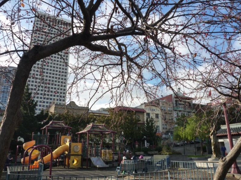 the park playgrounds