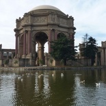 The palace of fine arts!