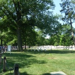 the cemetery is divided into 70 sections