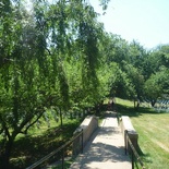 the cemetery's well served by paved walkways