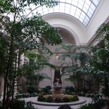 decked with skylight and plants