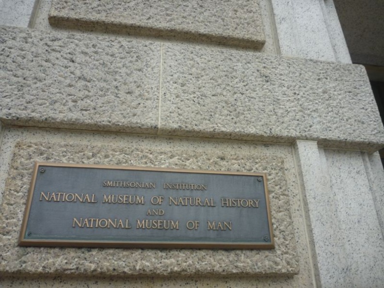 one of the museums of the smithsonian institution