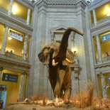 The grand lobby fo the museum