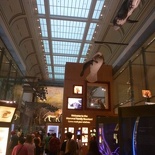 the ocean gallery