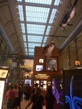 the ocean gallery