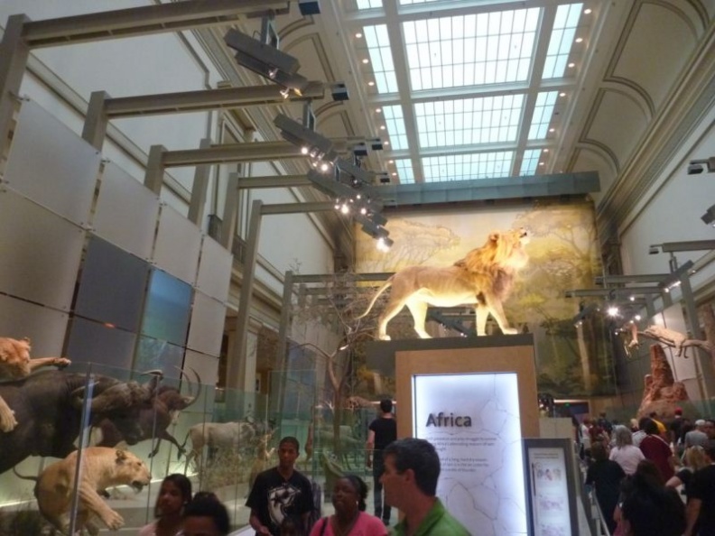 the African gallery