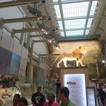the African gallery