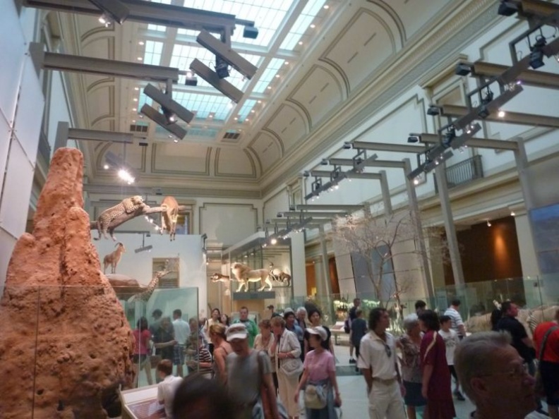 smithsonian_natural_history_museum_010.jpg