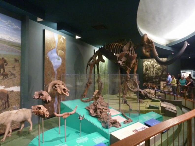 smithsonian_natural_history_museum_042.jpg