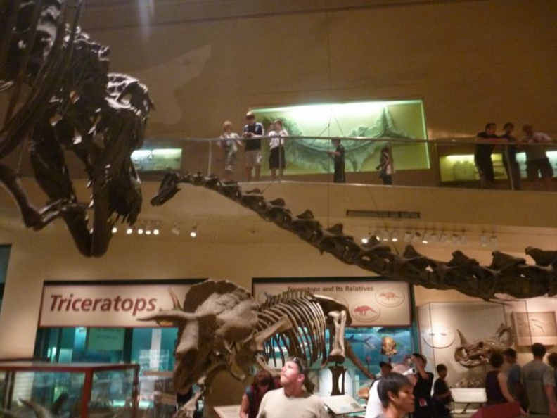 smithsonian_natural_history_museum_051.jpg