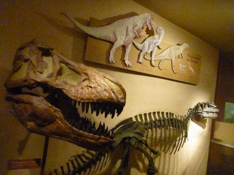 smithsonian_natural_history_museum_053.jpg