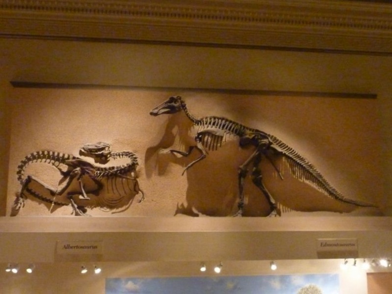 smithsonian_natural_history_museum_057.jpg