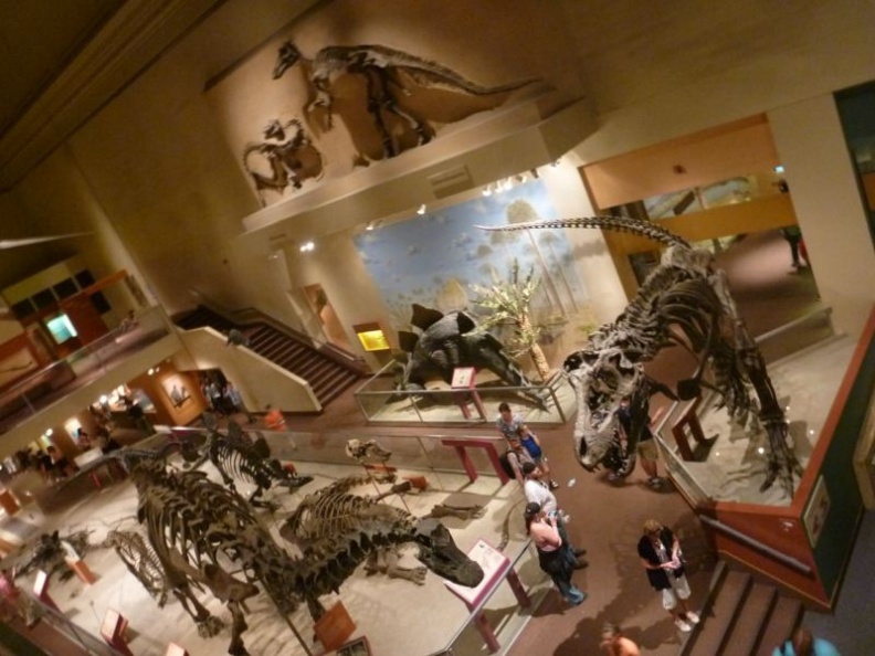 smithsonian_natural_history_museum_058.jpg