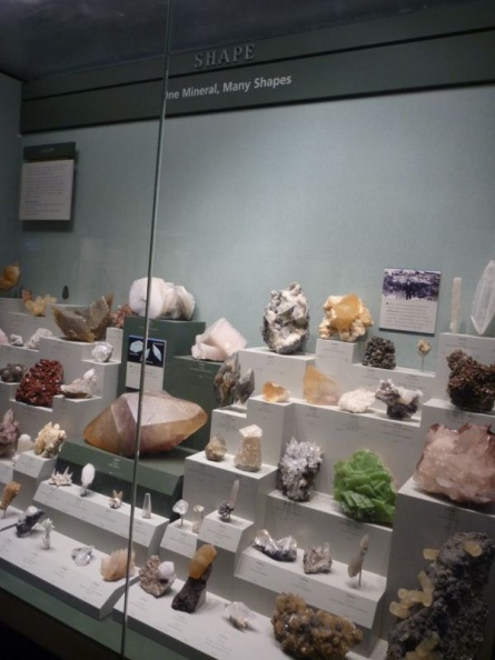 smithsonian_natural_history_museum_065.jpg