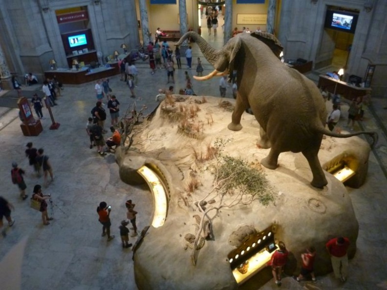 smithsonian_natural_history_museum_076.jpg