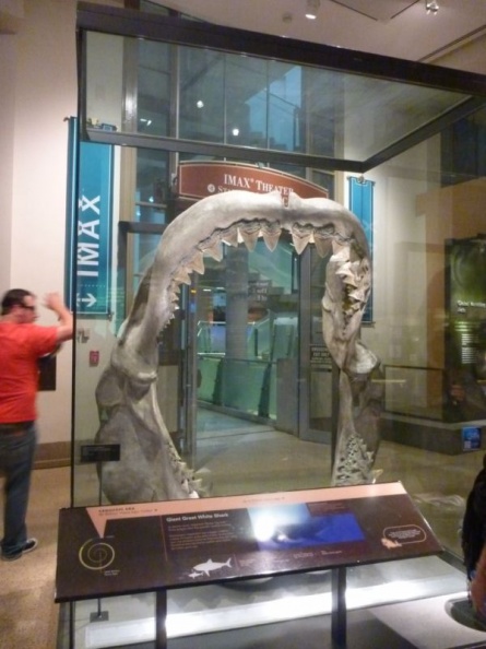 smithsonian_natural_history_museum_102.jpg