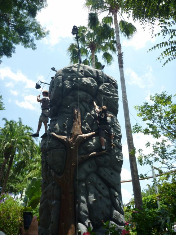 rocks for ape climbing