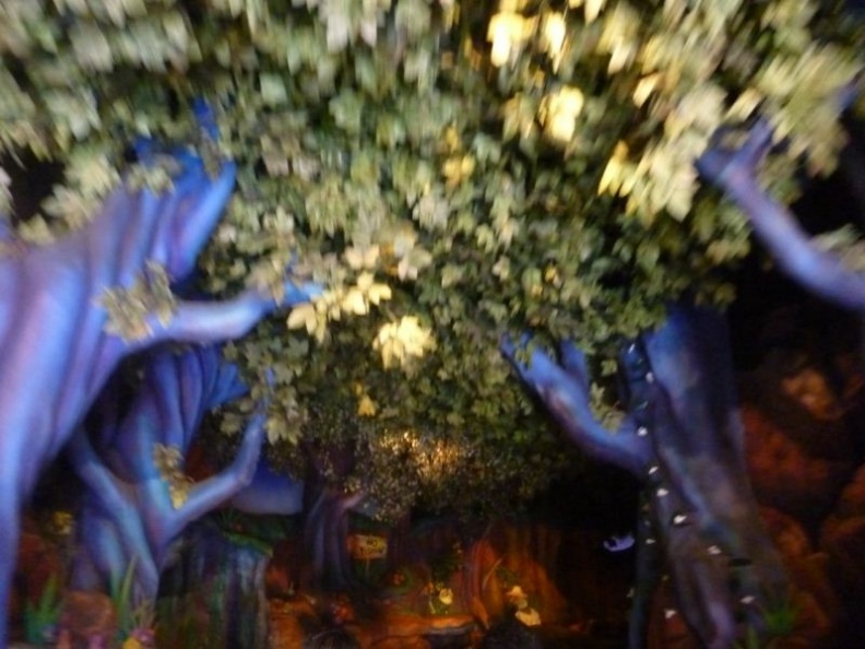 disney_magic_kingdom_037.jpg