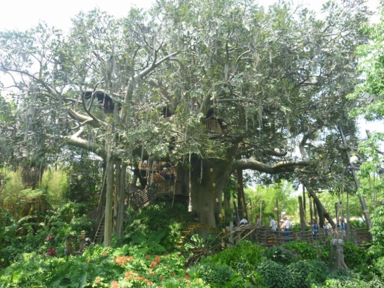 a treehouse fun play area or sort