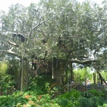 a treehouse fun play area or sort