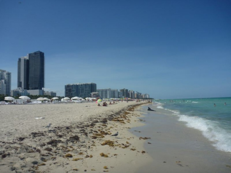 strolling along the beach front