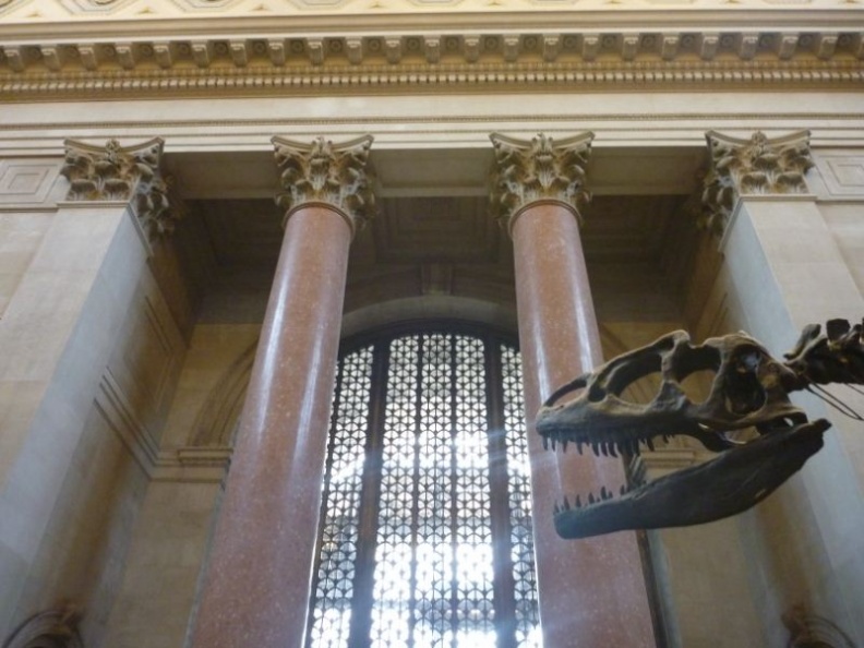 newyork_natural_history_museum_021.jpg