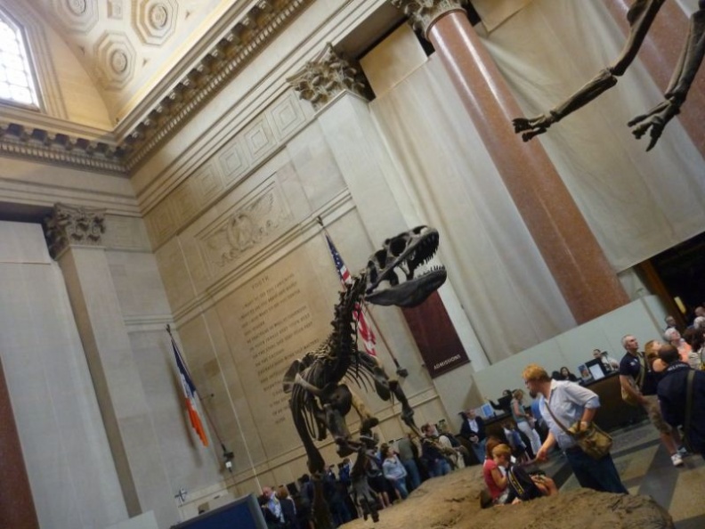 newyork_natural_history_museum_017.jpg