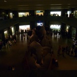 yup, Night at the museum