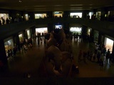 yup, Night at the museum