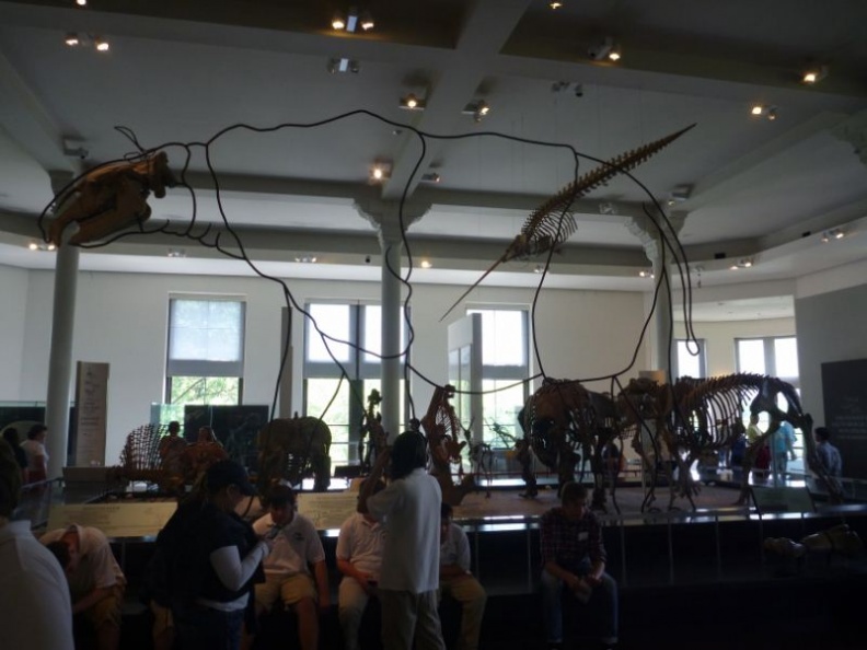 newyork_natural_history_museum_086.jpg