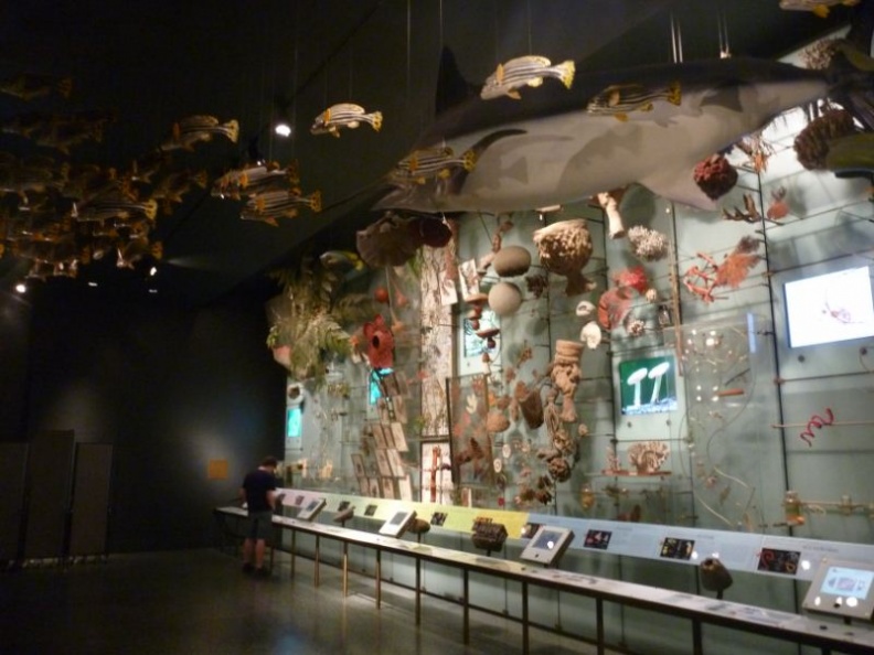 newyork_natural_history_museum_117.jpg