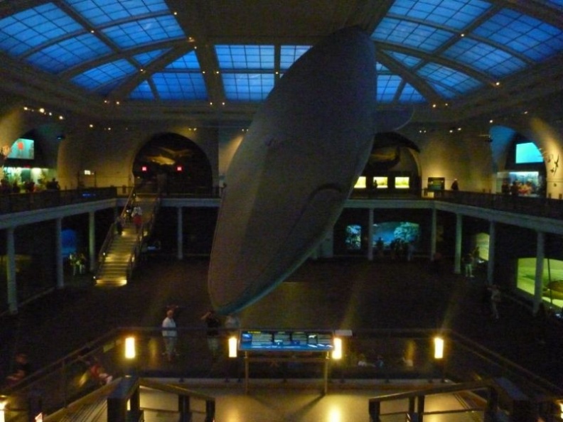 newyork_natural_history_museum_118.jpg